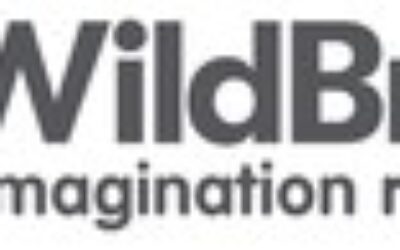 WILDBRAIN REPORTS FULL YEAR AND Q4 2024 RESULTS