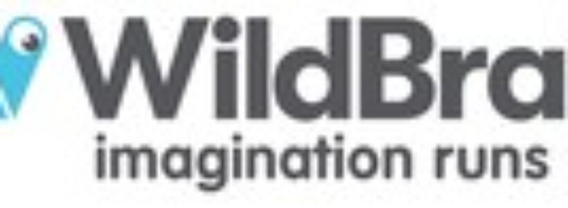 WILDBRAIN REPORTS FULL YEAR AND Q4 2024 RESULTS